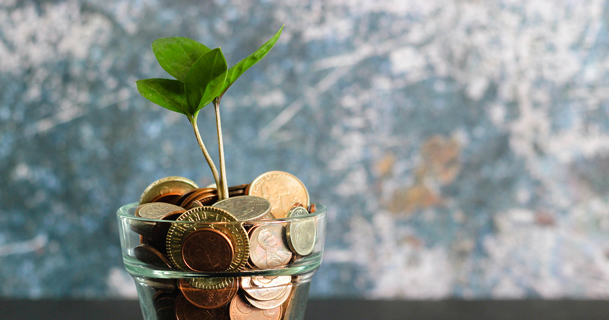 A plant pot full of coins with a seedling plant growing out of it